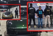 A financial operator for the Northeast Cartel was arrested in Mérida, multimillion-dollar sports car collection was seized