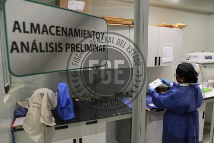 Prison Sentence Handed Down for Gang Robbery in Merida Following Thorough Investigation