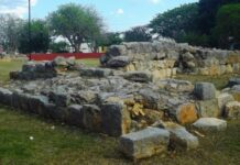 Destruction of Maya City Dzoyilá for Chedraui Supermarket Sparks Community Outrage